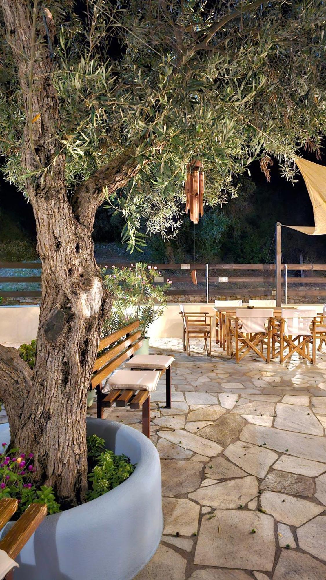 Pension Oasis Votsi  Dış mekan fotoğraf